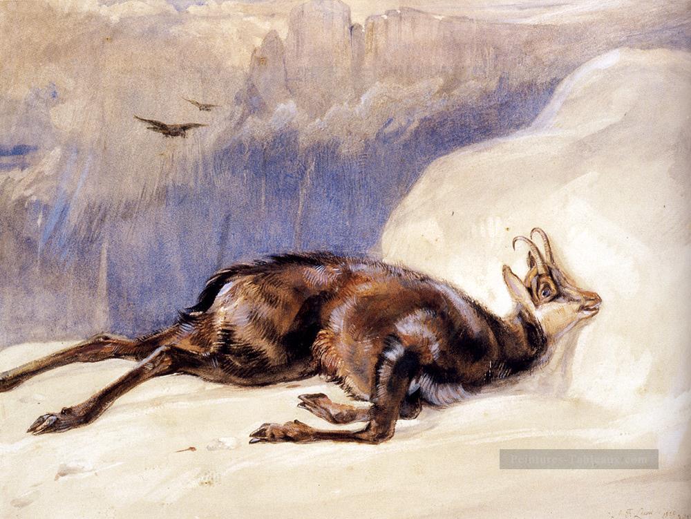 Le Chamois esquissé dans l’animal tyrolien John Frederick Lewis Peintures à l'huile